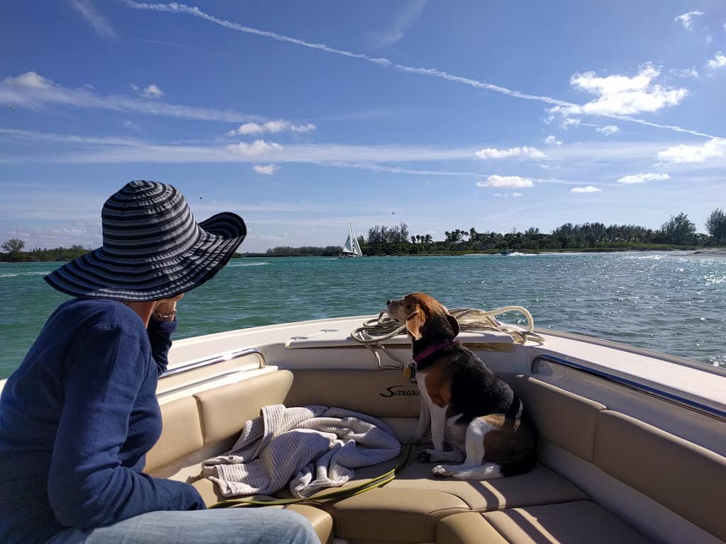 Dog Beach and Boating